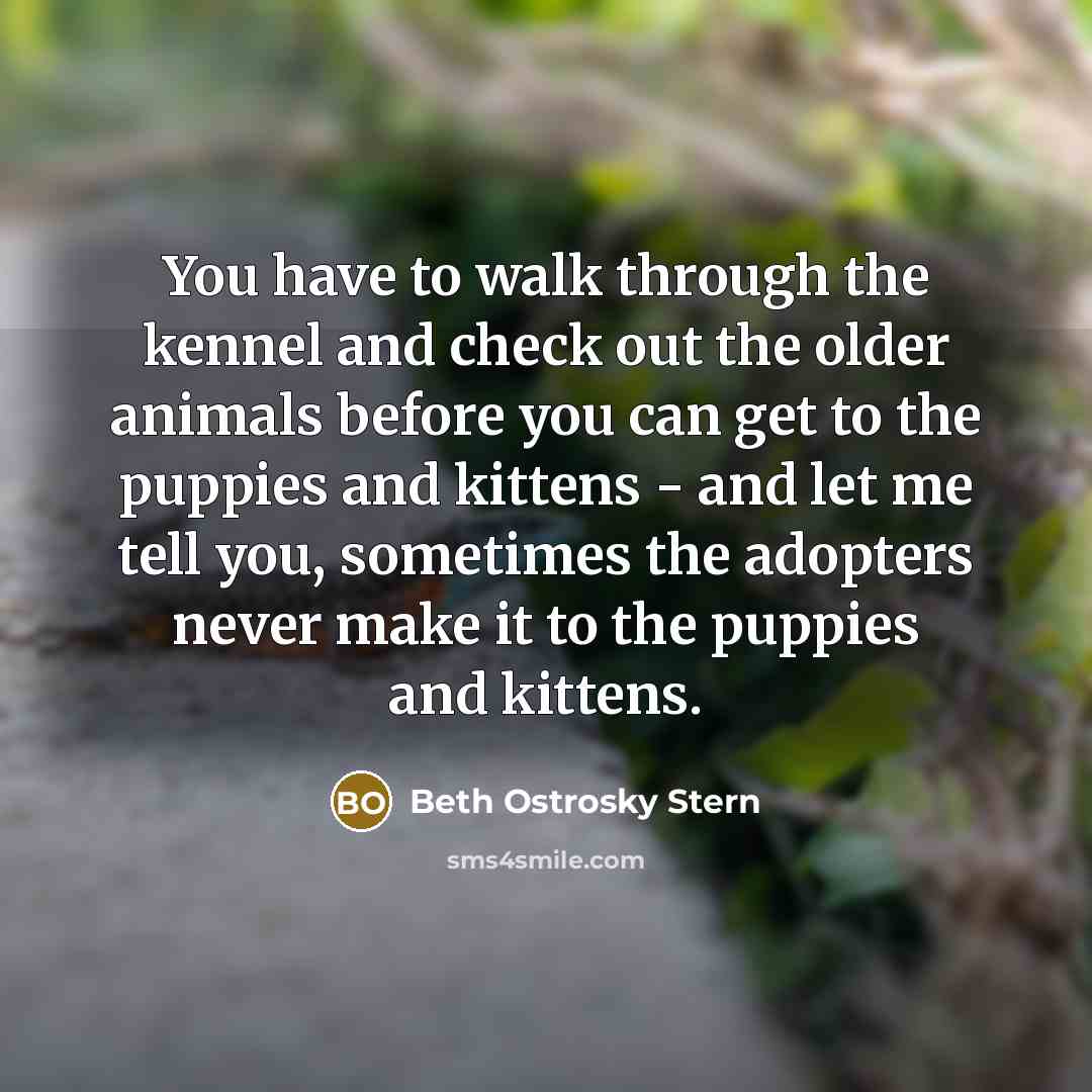 “You have to walk through the kennel and check out…” quote by Beth Ostrosky Stern