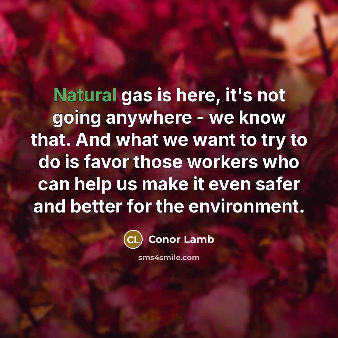 “Natural gas is here, it's not going anywhere - we…” quote by Conor Lamb