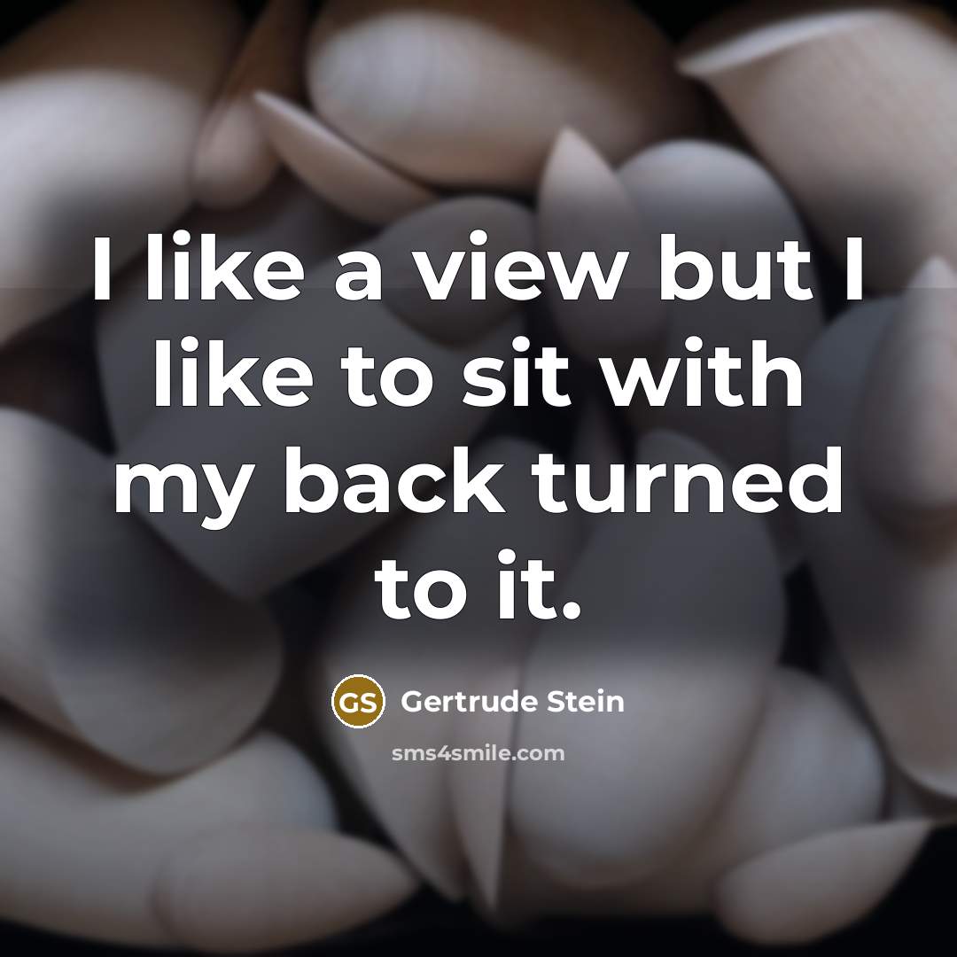 “I like a view but I like to sit with my back turned to it.” quote by Gertrude Stein