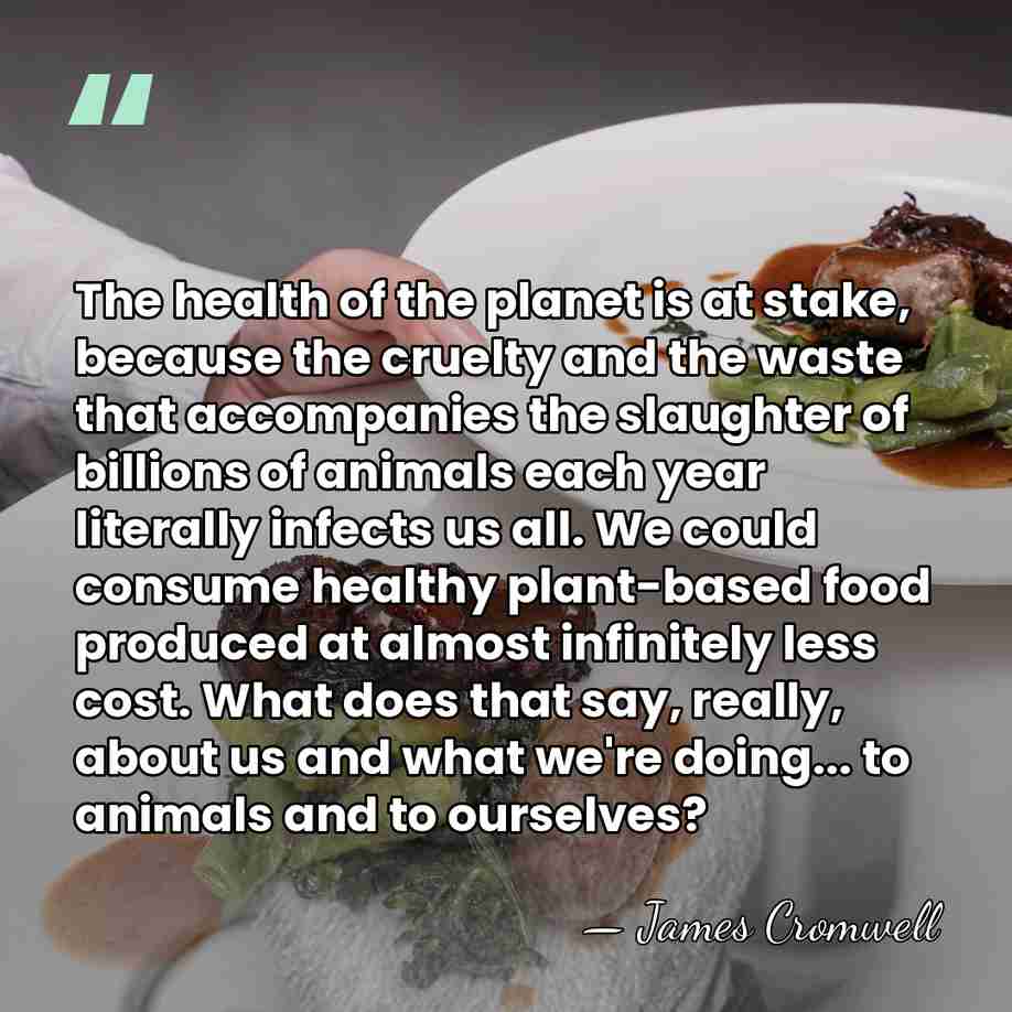 The health of the planet is at stake, because the cruelty and&hellip; - James Cromwell