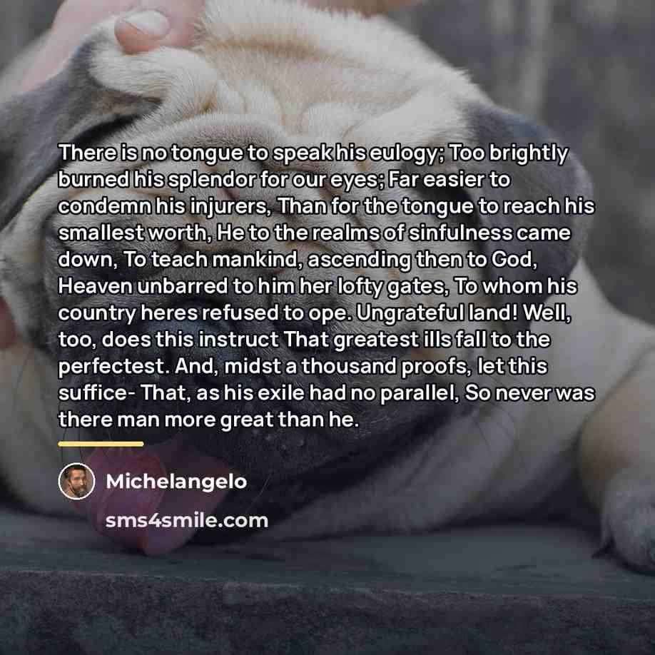 “There is no tongue to speak his eulogy; Too brightly…” quote by Michelangelo