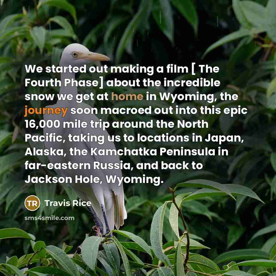 “We started out making a film [ The Fourth Phase]…” quote by Travis Rice
