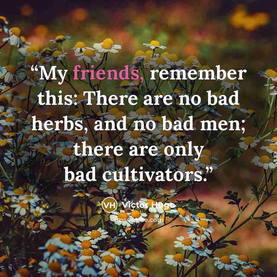 “My friends, remember this: There are no bad herbs, and no bad men; there are only bad cultivators.” quote by Victor Hugo