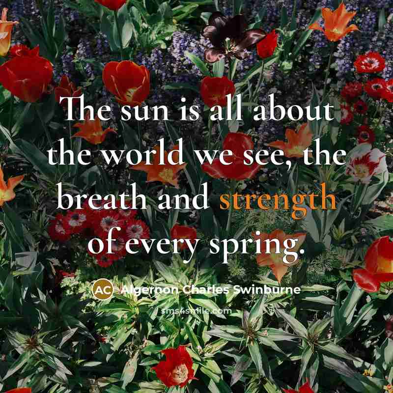 “The sun is all about the world we see, the…” quote by Algernon Charles Swinburne