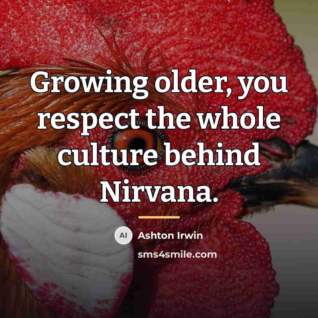 “Growing older, you respect the whole culture behind Nirvana.…” quote by Ashton Irwin