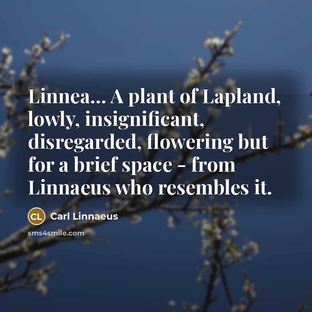 “Linnea.... A plant of Lapland, lowly, insignificant, disregarded, flowering but…” quote by Carl Linnaeus