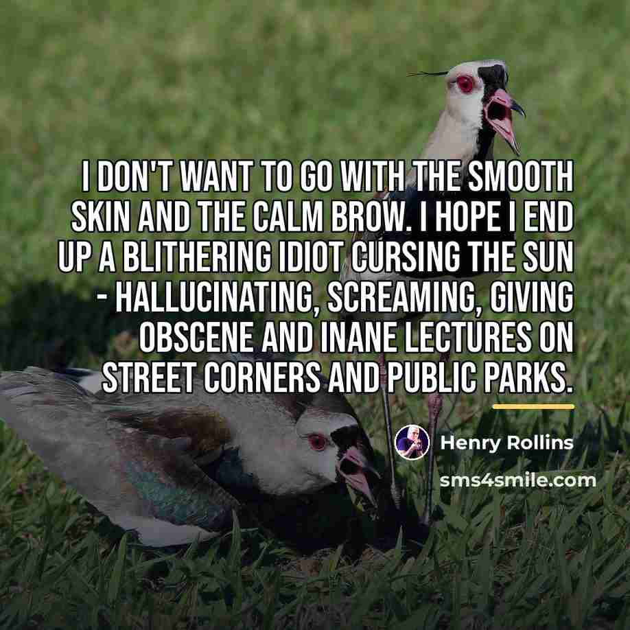 “I don't want to go with the smooth skin and…” quote by Henry Rollins