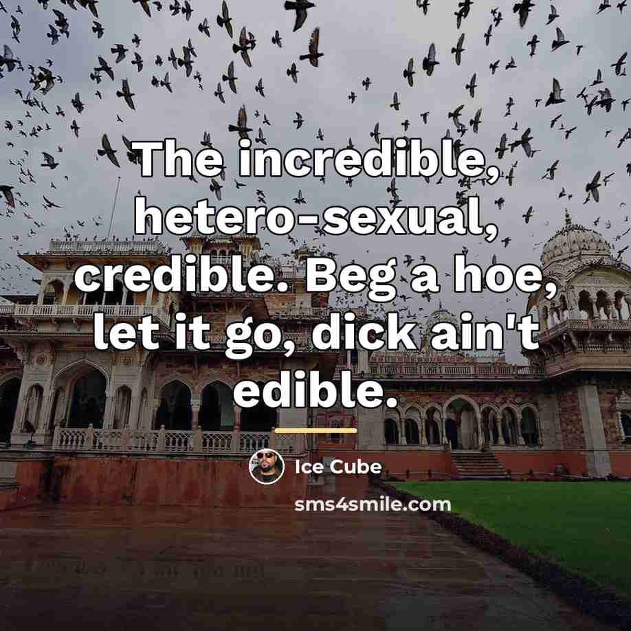 “The incredible, hetero-sexual, credible. Beg a hoe, let it go,…” quote by Ice Cube
