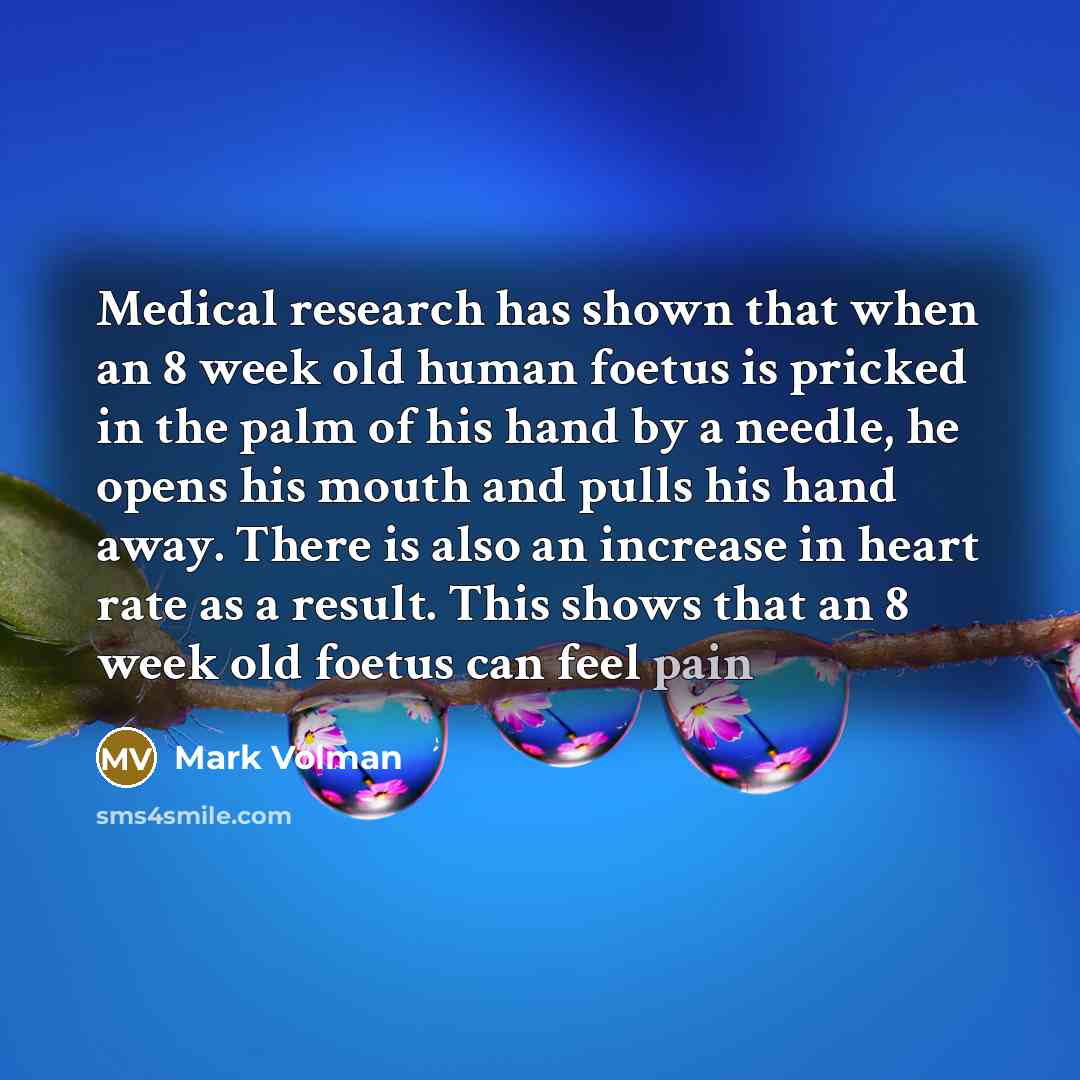 “Medical research has shown that when an 8 week old human foetus is pricked in the palm of his hand by a needle, he opens his mouth and pulls his hand away. There is also an increase in heart rate as a result. This shows that an 8 week old foetus can feel pain” quote by Mark Volman