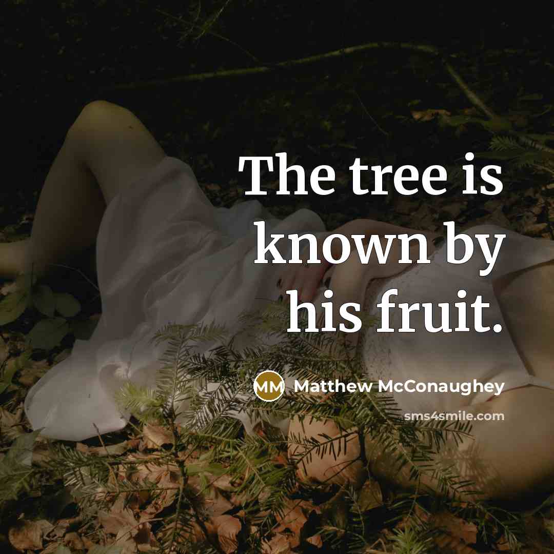“The tree is known by his fruit.…” quote by Matthew McConaughey