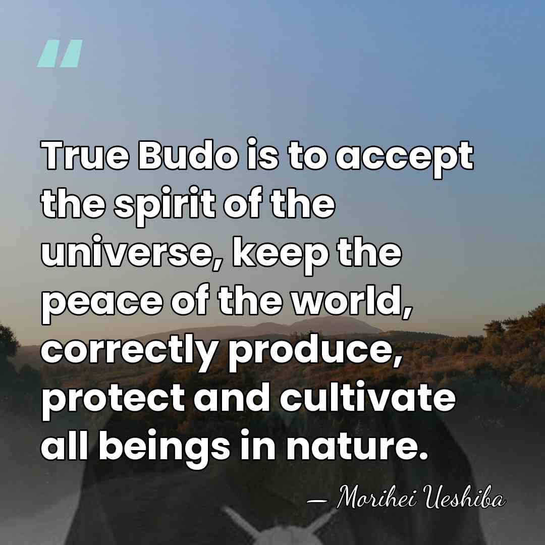 True Budo is to accept the spirit of the universe, keep the&hellip; - Morihei Ueshiba