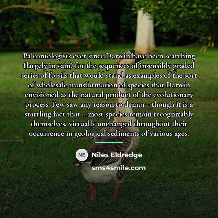 “Paleontologists ever since Darwin have been searching (largely in vain)…” quote by Niles Eldredge