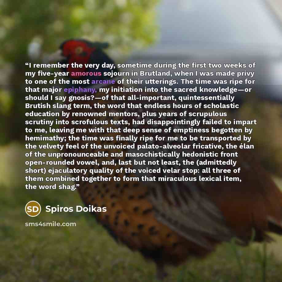 “I remember the very day, sometime during the first two weeks of my five-year amorous sojourn in Brutland, when I was made privy to one of the most arcane of their utterings. The time was ripe for that major epiphany, my initiation into the sacred knowledge—or should I say gnosis?—of that…” quote by Spiros Doikas