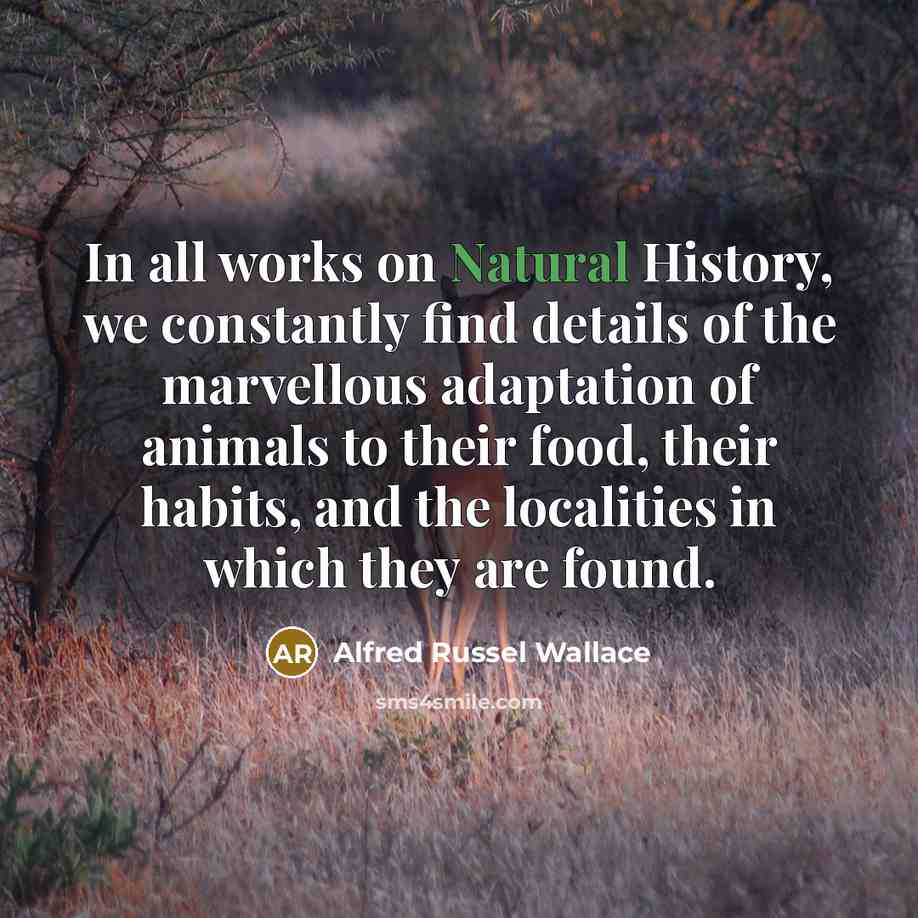 “In all works on Natural History, we constantly find details…” quote by Alfred Russel Wallace