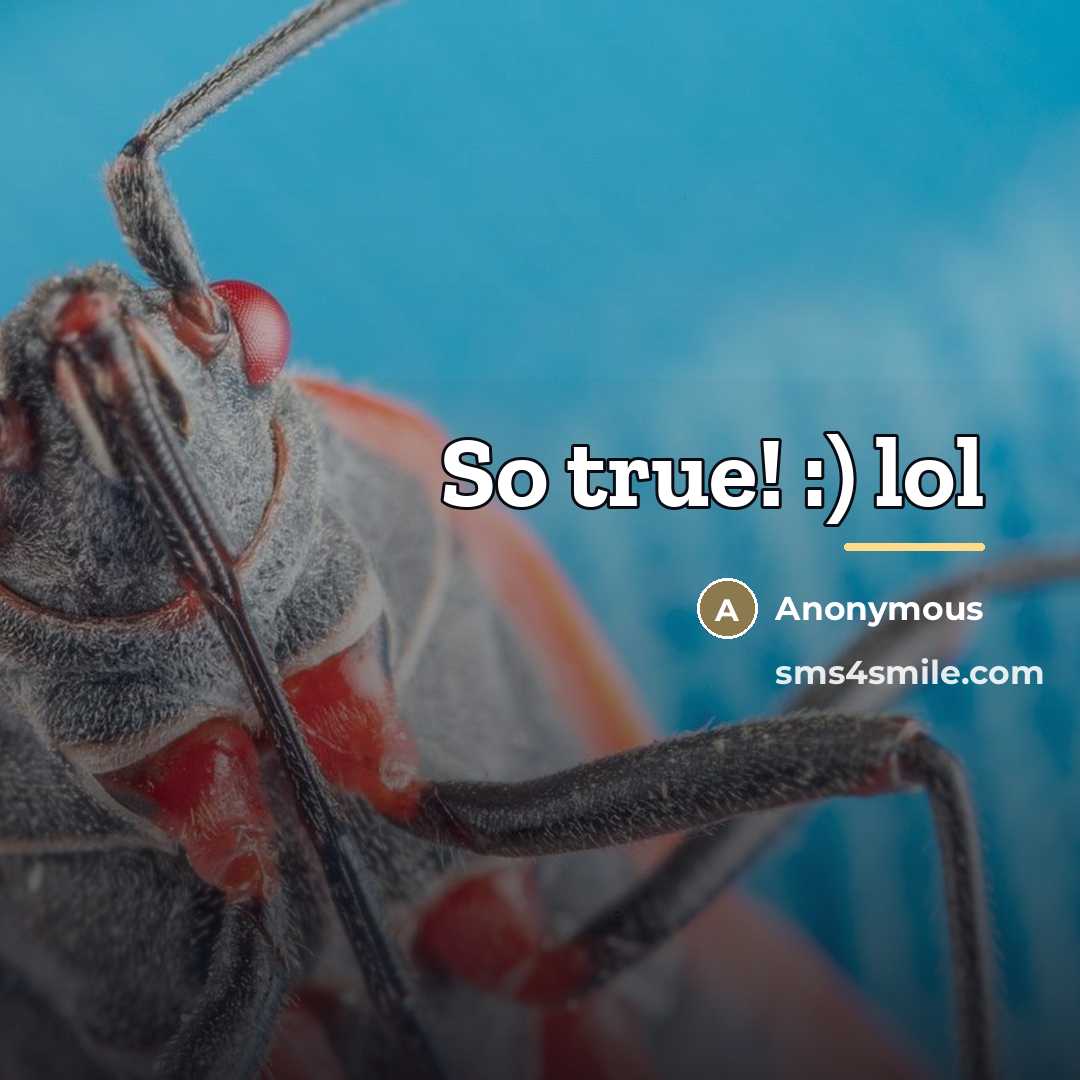 “So true! :) lol…” quote by Anonymous