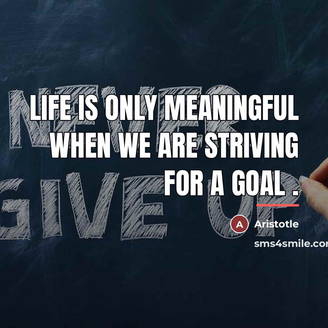 “Life is only meaningful when we are striving for a…” quote by Aristotle