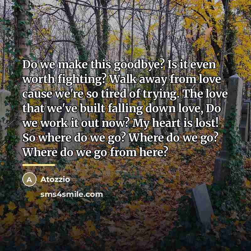 “Do we make this goodbye? Is it even worth fighting?…” quote by Atozzio