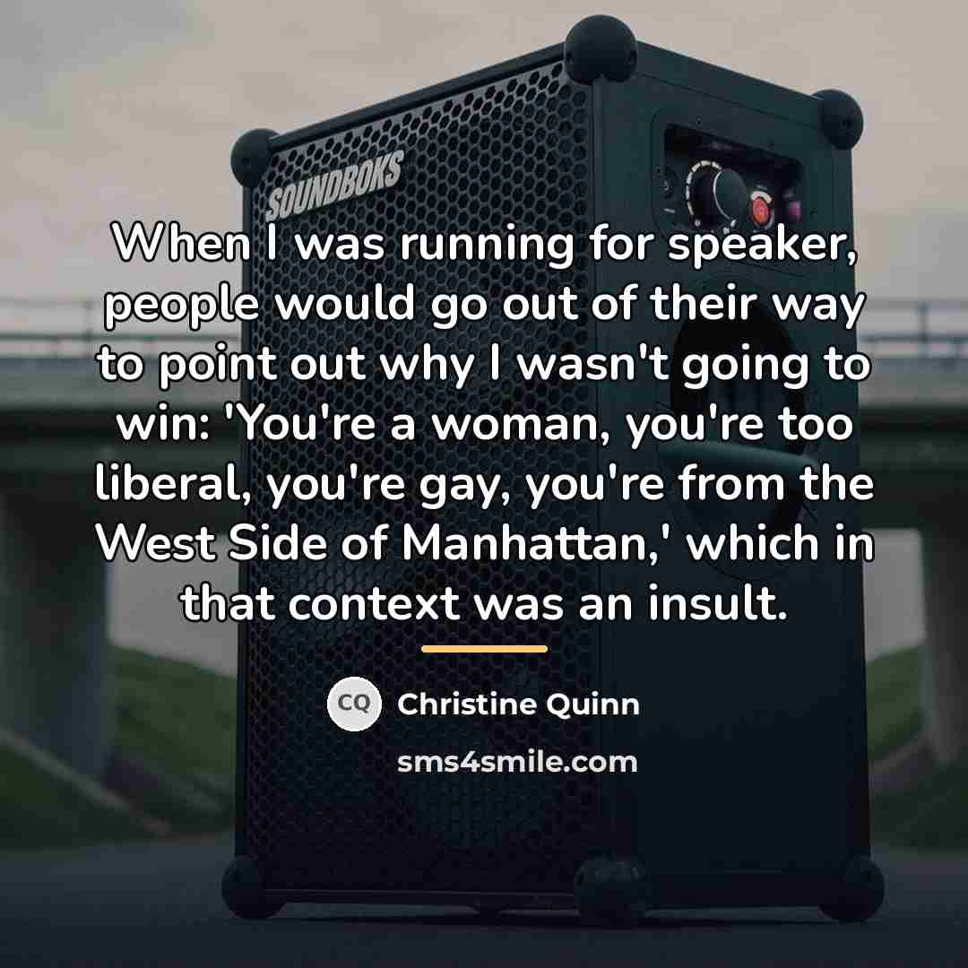 “When I was running for speaker, people would go out…” quote by Christine Quinn