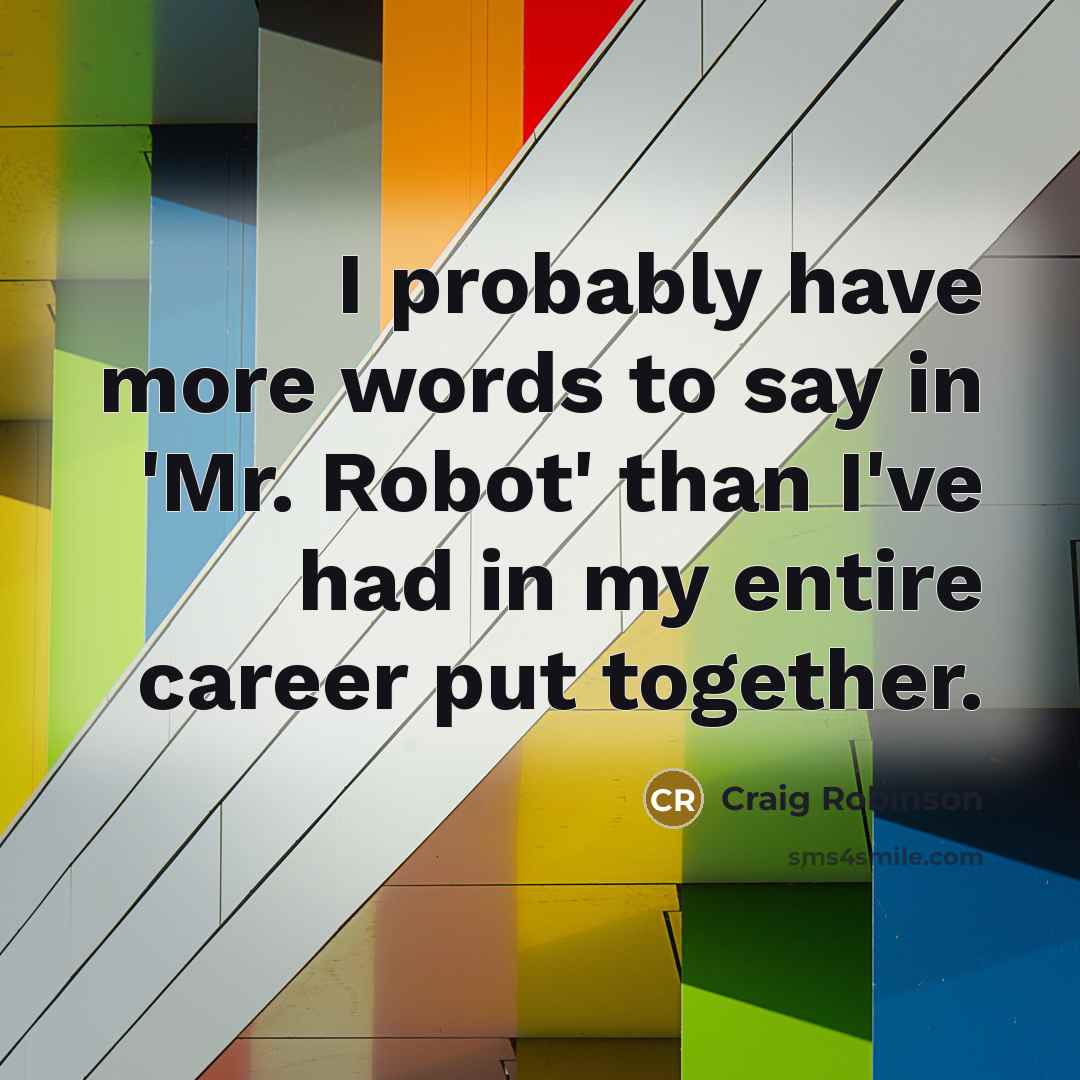 “I probably have more words to say in 'Mr. Robot'…” quote by Craig Robinson