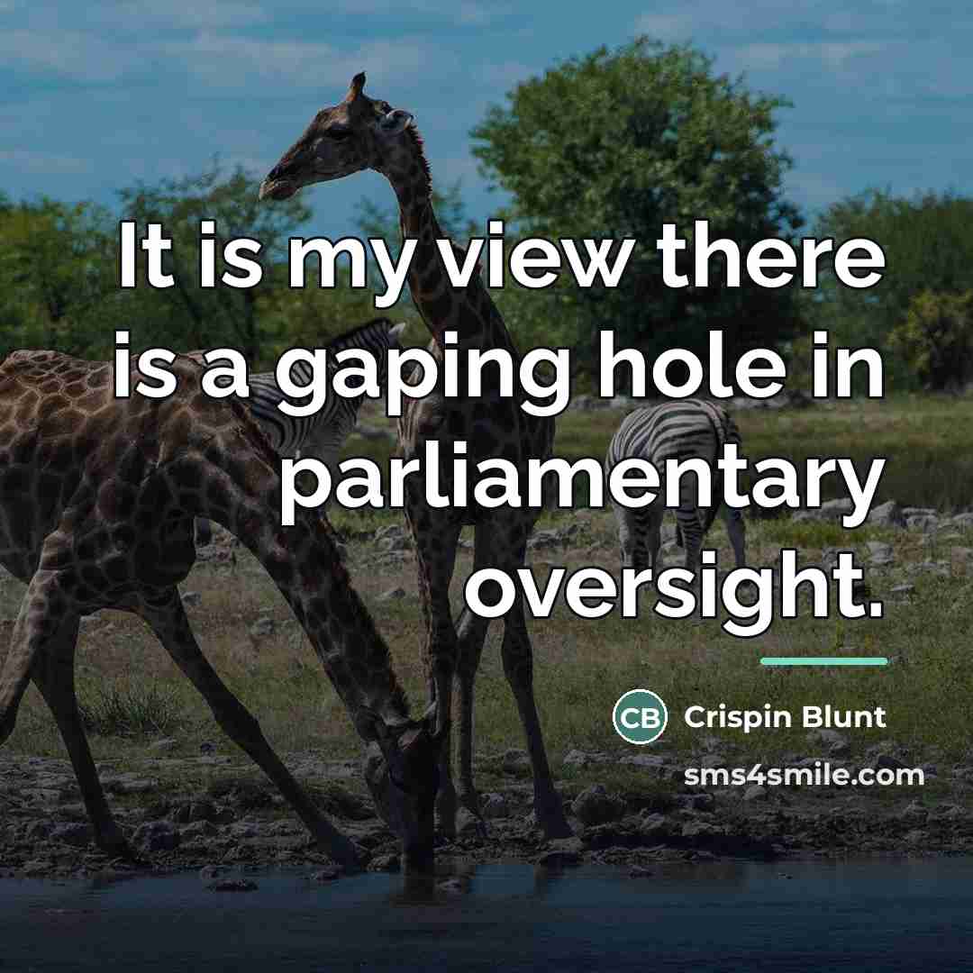“It is my view there is a gaping hole in…” quote by Crispin Blunt