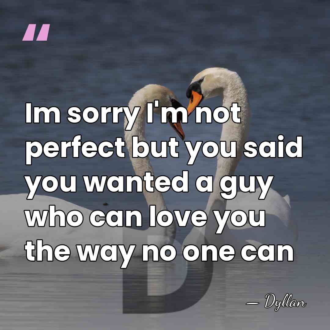 Im sorry I'm not perfect but you said you wanted a guy&hellip; - Dyllan
