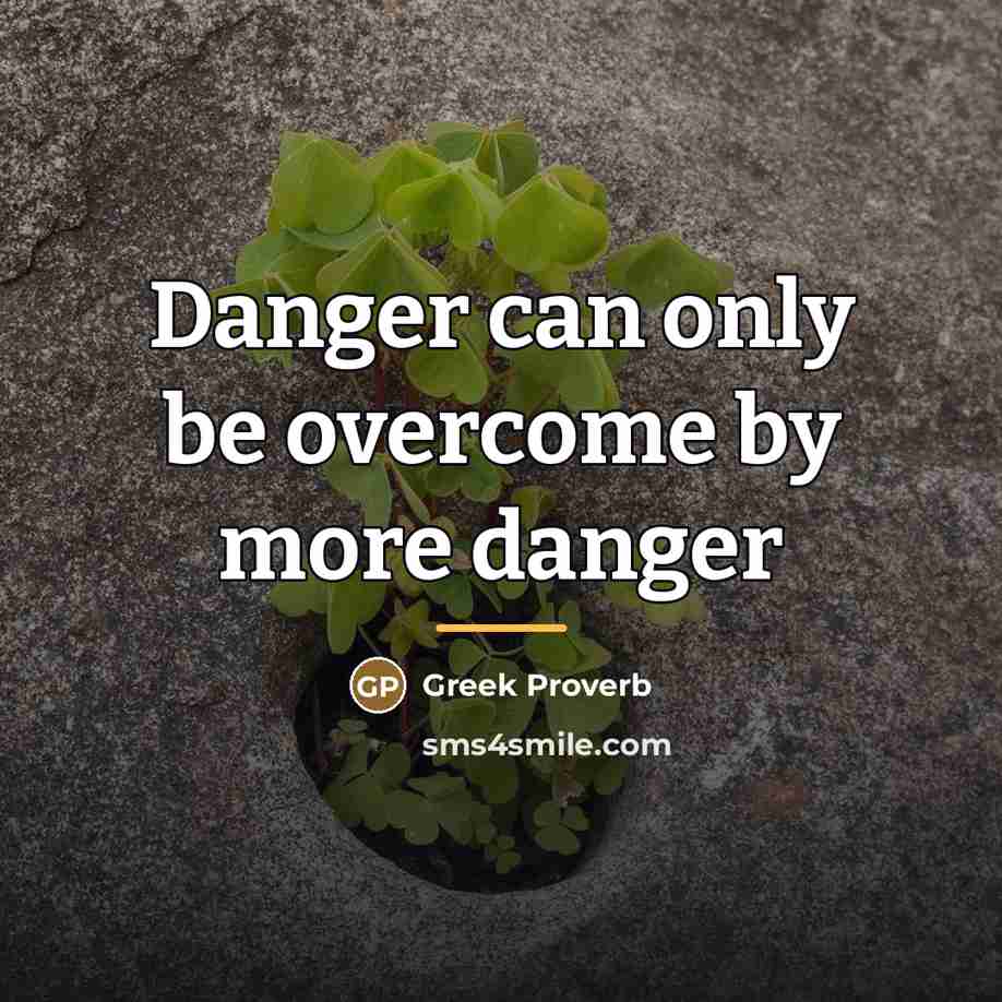 “Danger can only be overcome by more danger…” quote by Greek Proverb