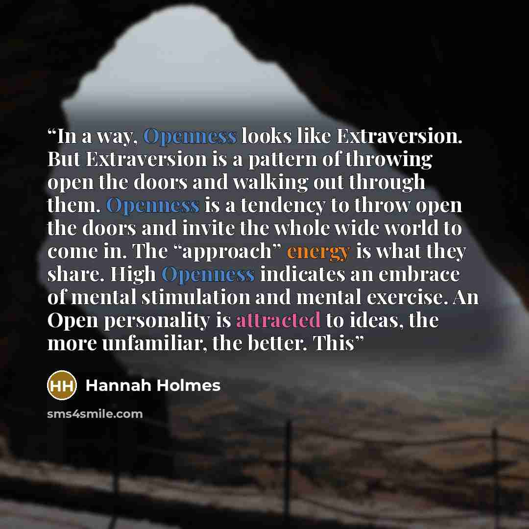 “In a way, Openness looks like Extraversion. But Extraversion is a pattern of throwing open the doors and walking out through them. Openness is a tendency to throw open the doors and invite the whole wide world to come in. The “approach” energy is what they share. High Openness indicates an embrace…” quote by Hannah Holmes