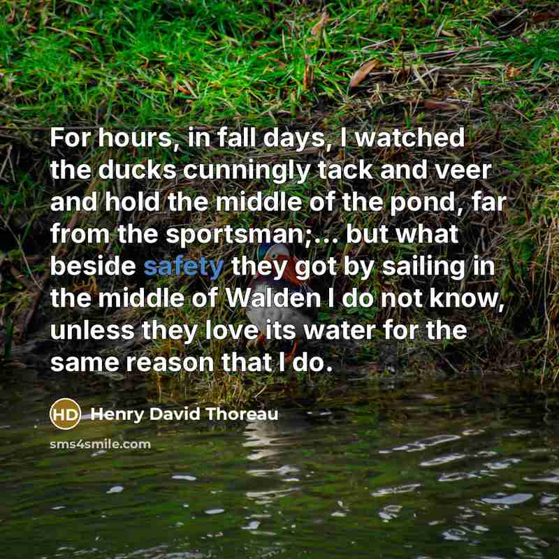 “For hours, in fall days, I watched the ducks cunningly…” quote by Henry David Thoreau