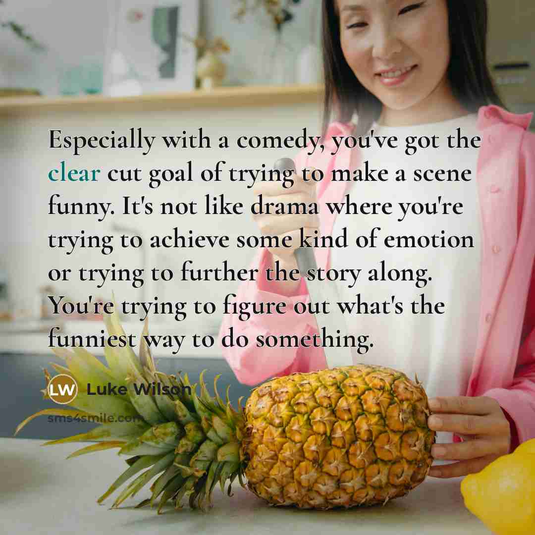“Especially with a comedy, you've got the clear cut goal…” quote by Luke Wilson