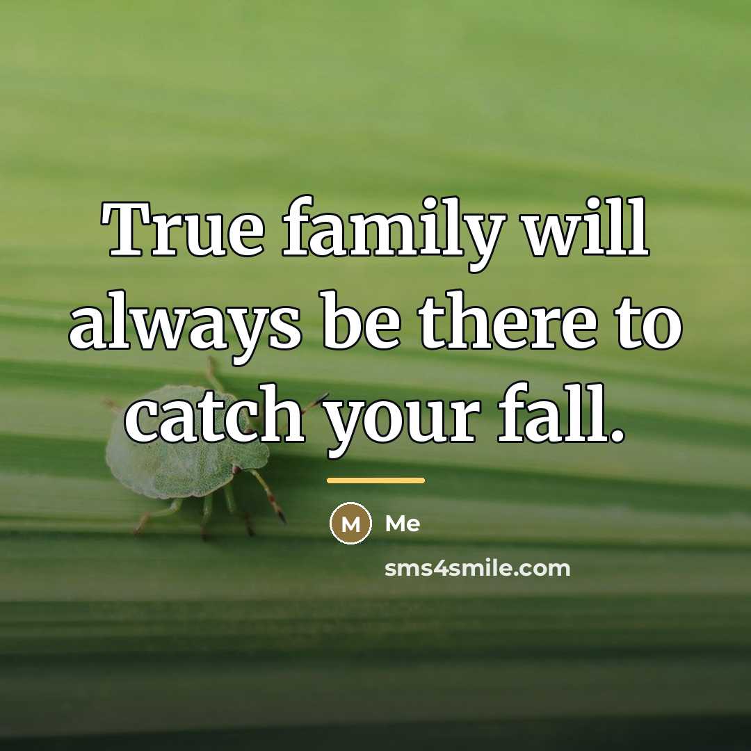 “True family will always be there to catch your fall.…” quote by Me