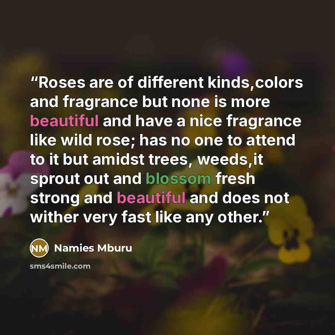 “Roses are of different kinds,colors and fragrance but none is more beautiful and have a nice fragrance like wild rose; has no one to attend to it but amidst trees, weeds,it sprout out and blossom fresh strong and beautiful and does not wither very fast like any other.” quote by Namies Mburu
