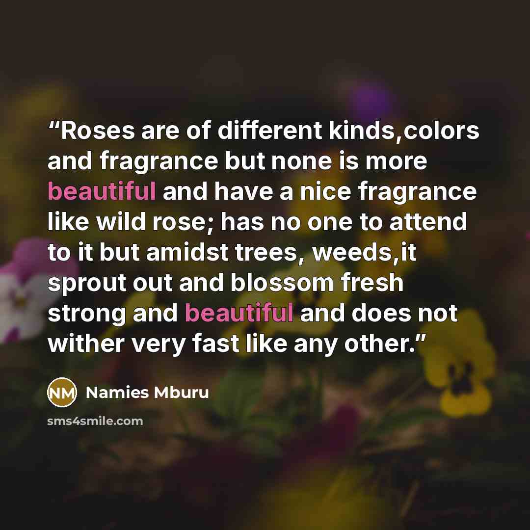 “Roses are of different kinds,colors and fragrance but none is more beautiful and have a nice fragrance like wild rose; has no one to attend to it but amidst trees, weeds,it sprout out and blossom fresh strong and beautiful and does not wither very fast like any other.” quote by Namies Mburu