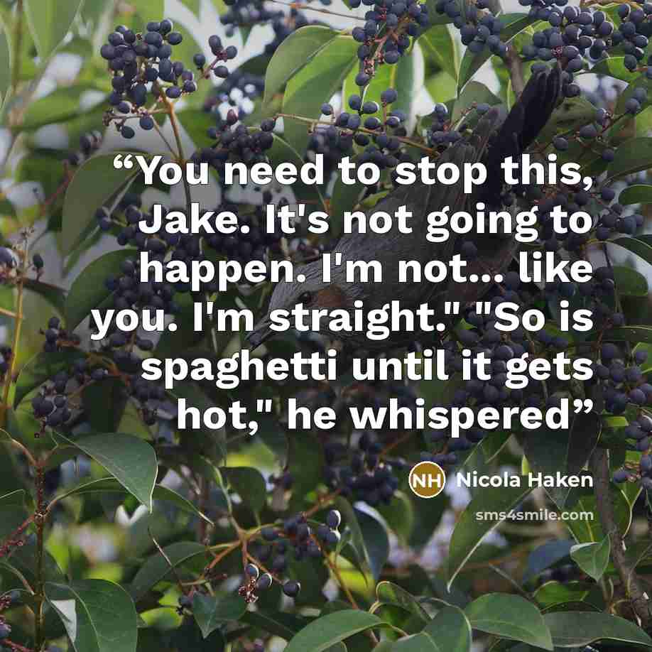 “You need to stop this, Jake. It's not going to happen. I'm not... like you. I'm straight." "So is spaghetti until it gets hot," he whispered” quote by Nicola Haken