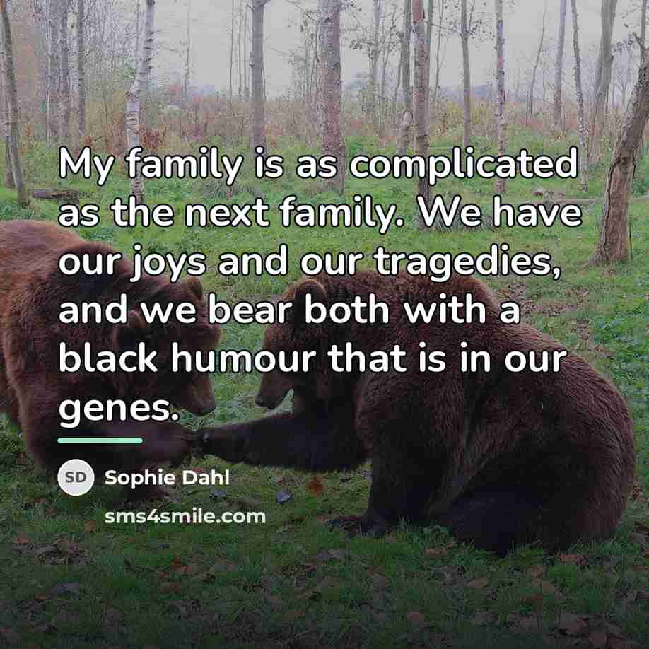 “My family is as complicated as the next family. We…” quote by Sophie Dahl