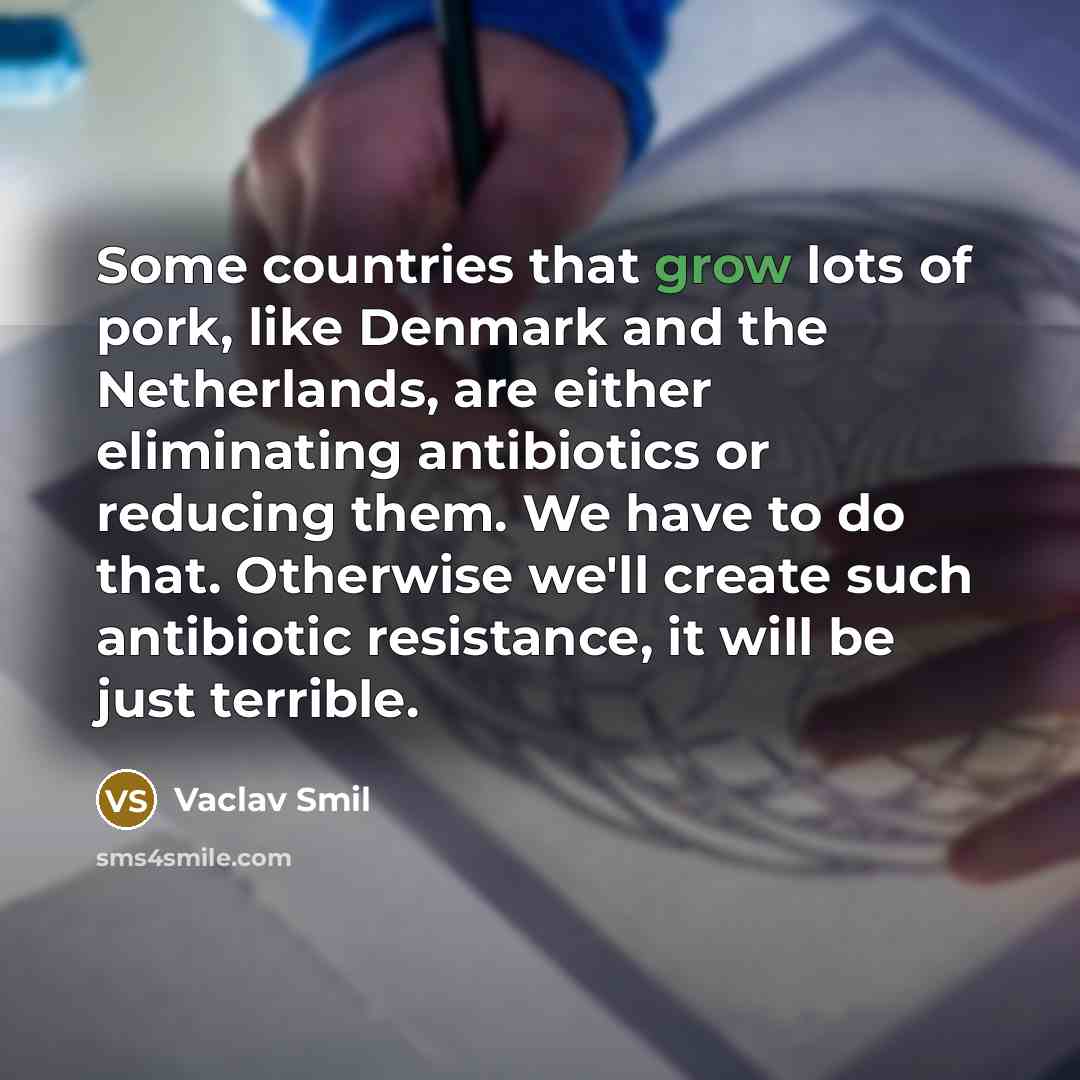 “Some countries that grow lots of pork, like Denmark and…” quote by Vaclav Smil