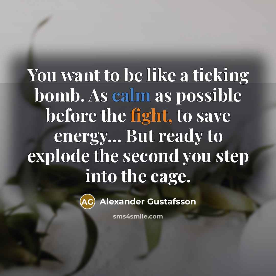 “You want to be like a ticking bomb. As calm…” quote by Alexander Gustafsson