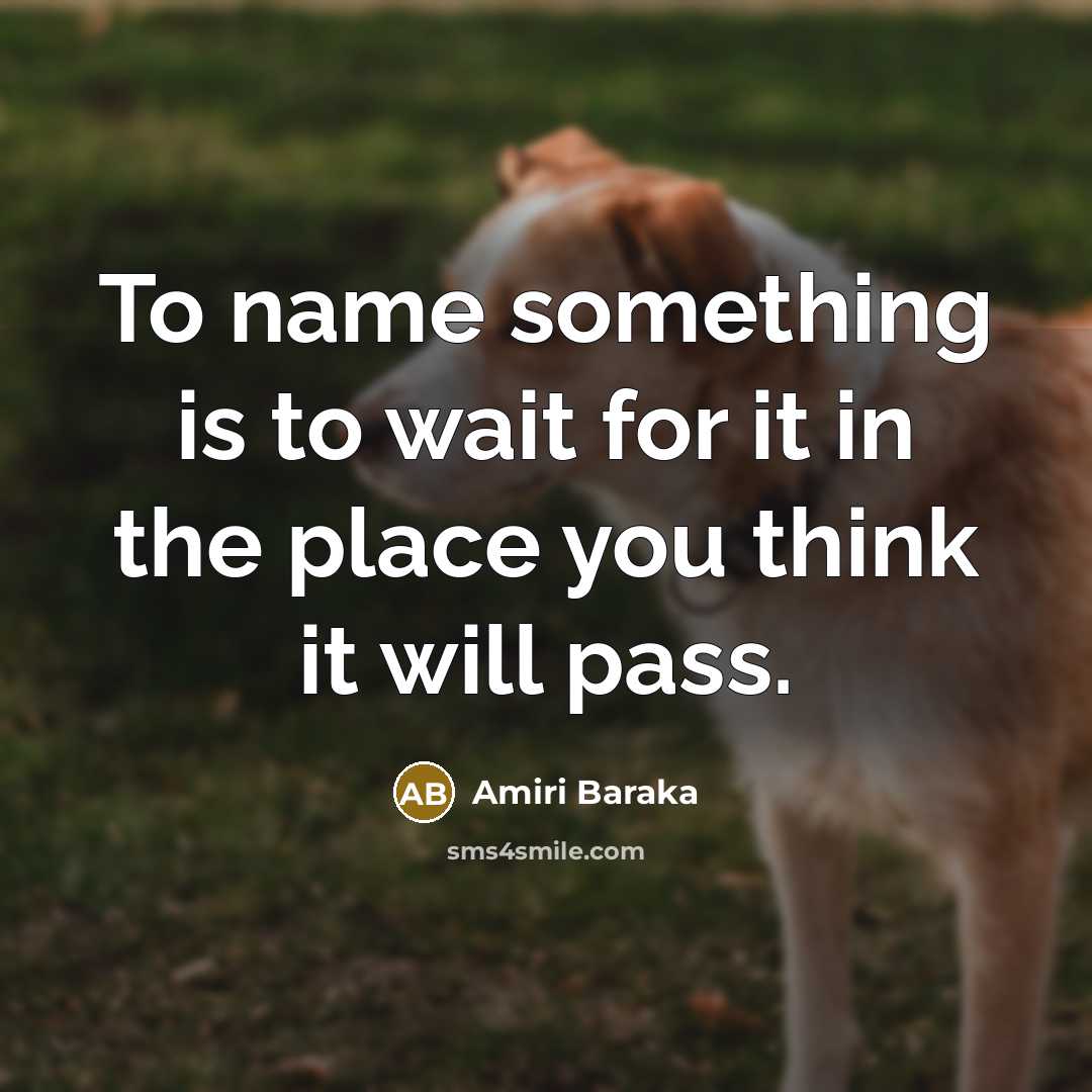 “To name something is to wait for it in the…” quote by Amiri Baraka