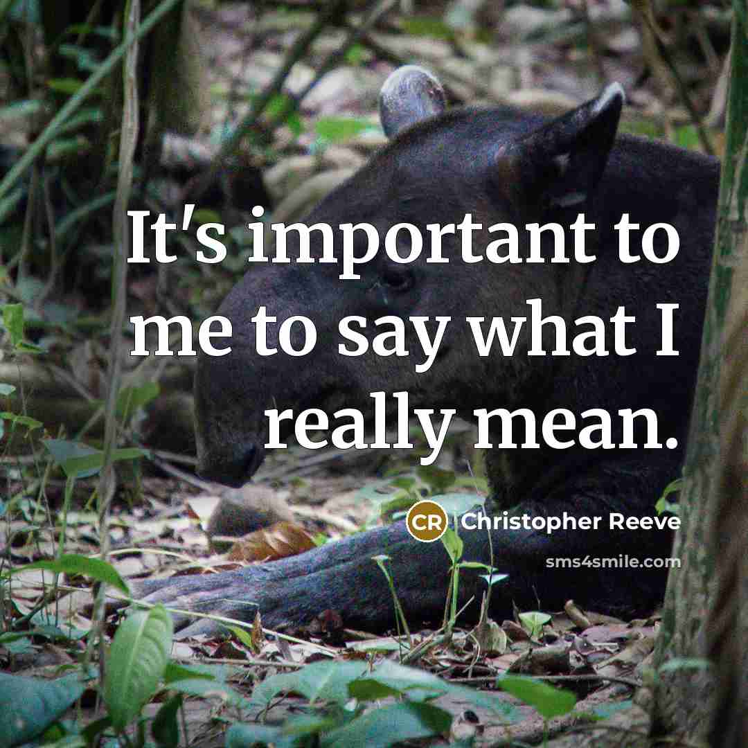 “It's important to me to say what I really mean.…” quote by Christopher Reeve