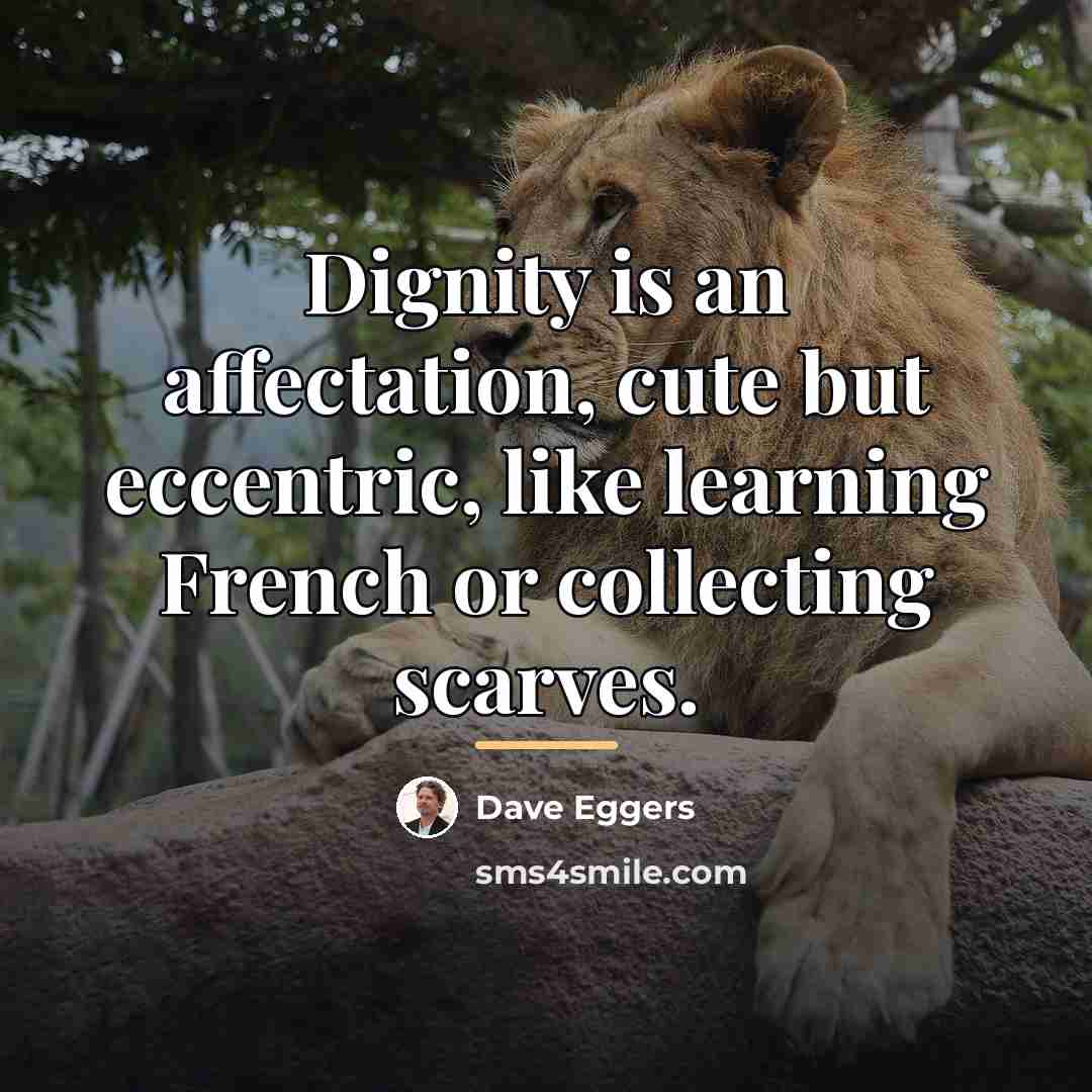 “Dignity is an affectation, cute but eccentric, like learning French…” quote by Dave Eggers