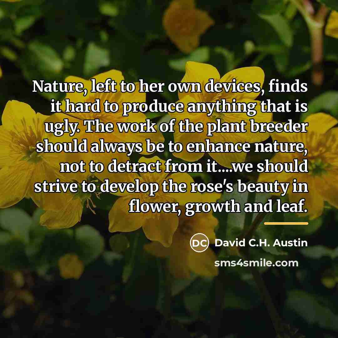 “Nature, left to her own devices, finds it hard to…” quote by David C.H. Austin