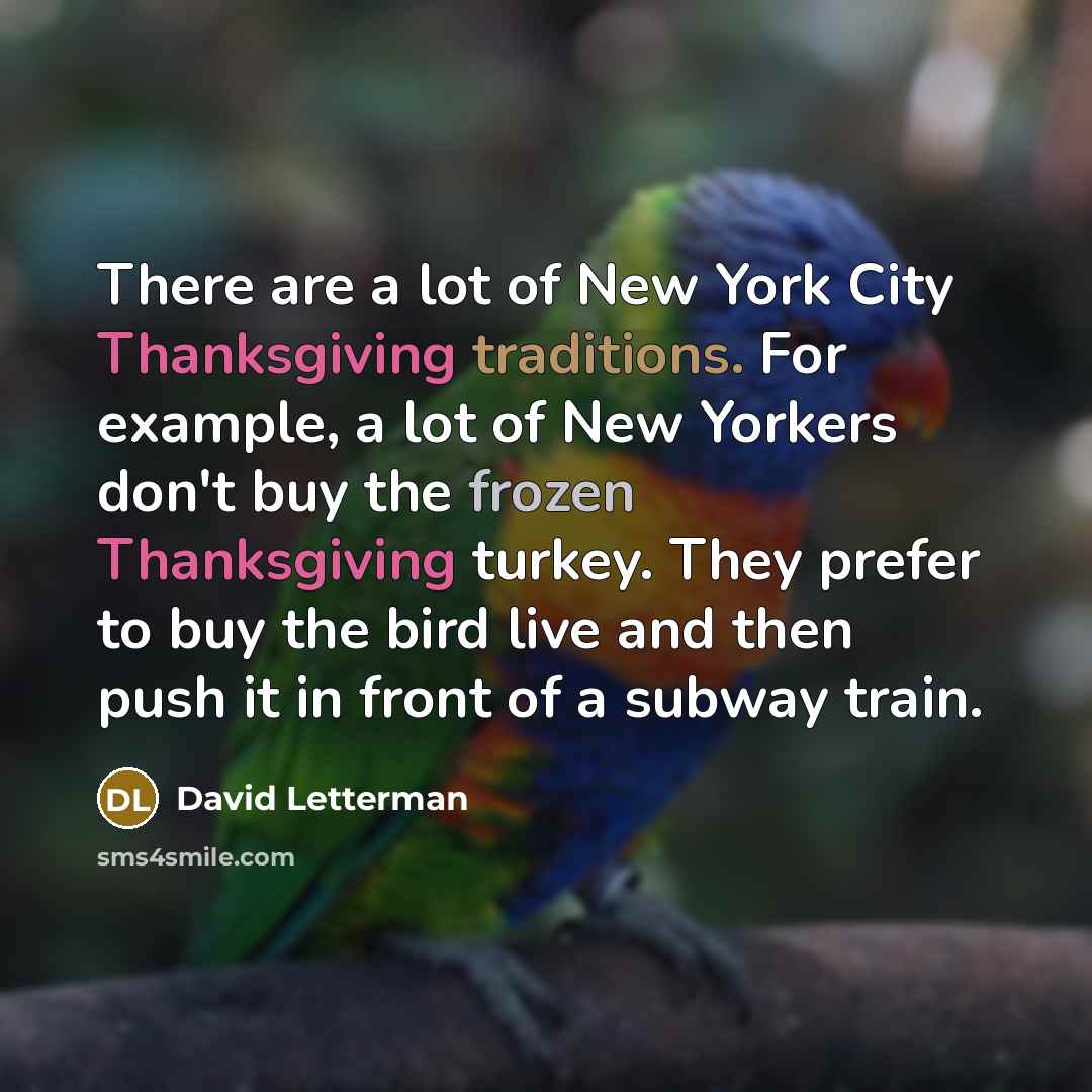 “There are a lot of New York City Thanksgiving traditions.…” quote by David Letterman
