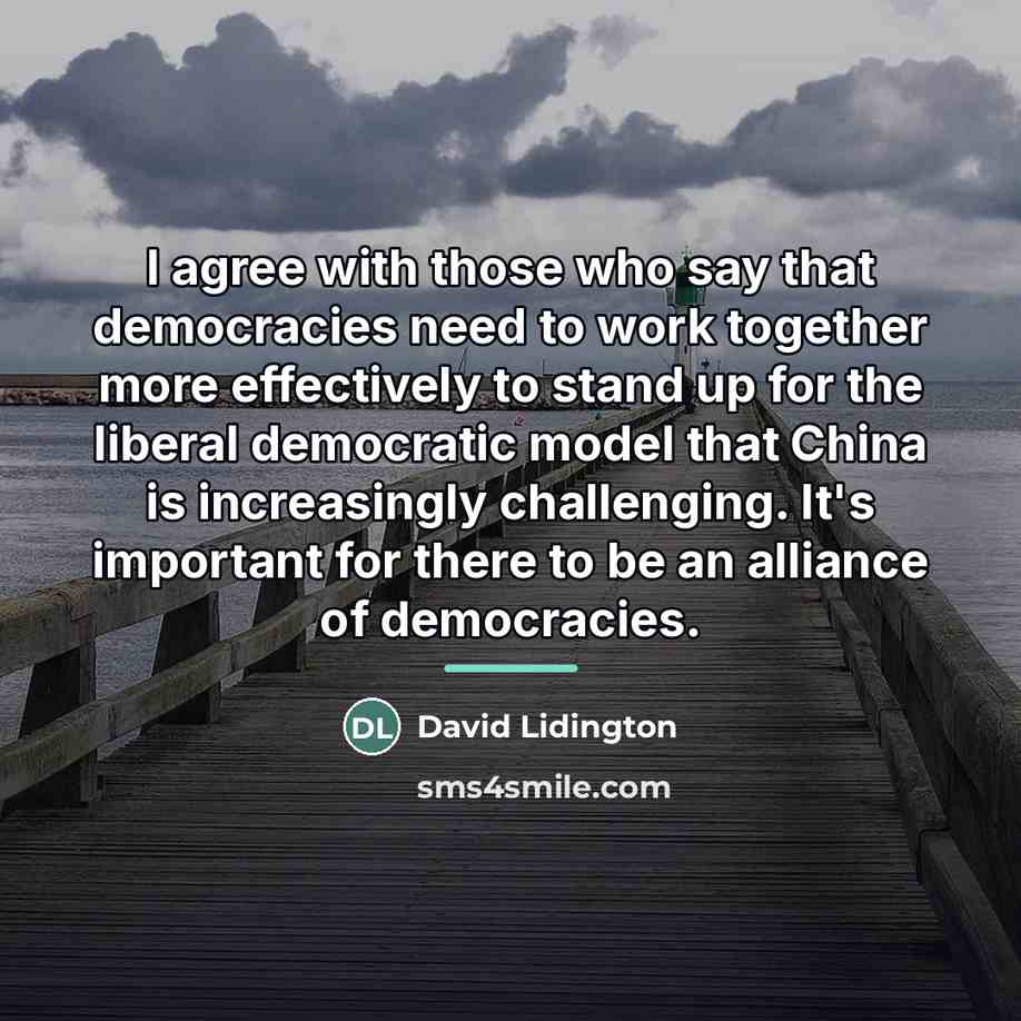 “I agree with those who say that democracies need to…” quote by David Lidington