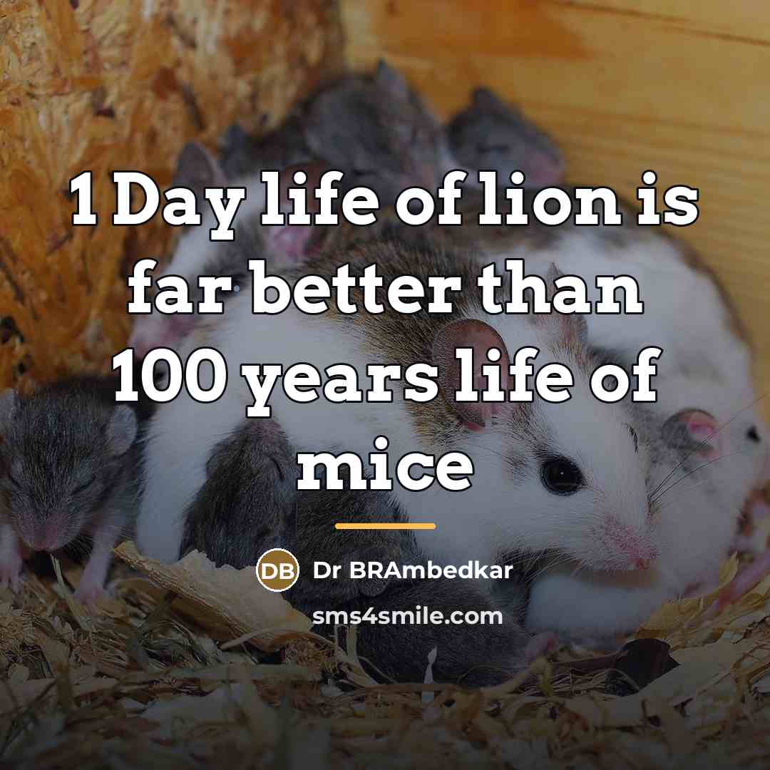 “1 Day life of lion is far better than 100…” quote by Dr BRAmbedkar