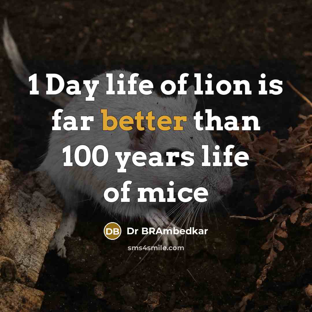 “1 Day life of lion is far better than 100 years life of mice” quote by Dr BRAmbedkar