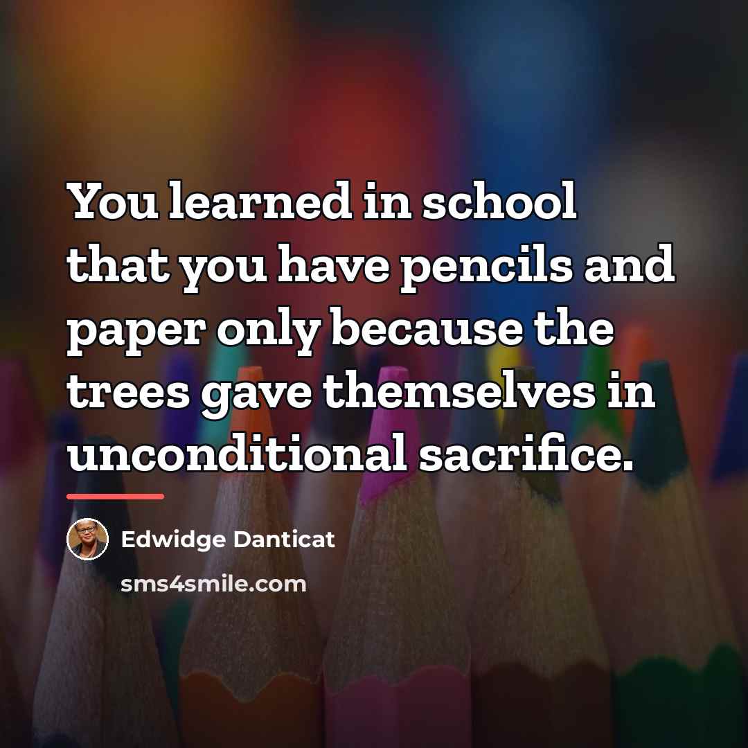 “You learned in school that you have pencils and paper…” quote by Edwidge Danticat