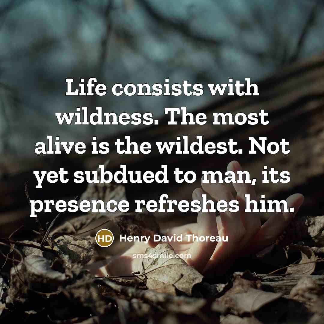 “Life consists with wildness. The most alive is the wildest.…” quote by Henry David Thoreau