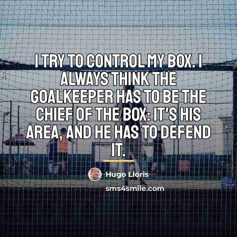 “I try to control my box. I always think the…” quote by Hugo Lloris