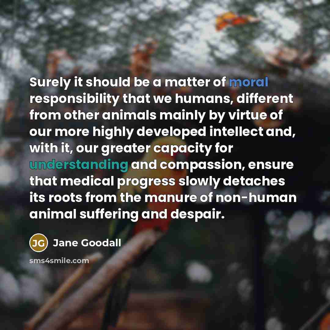 “Surely it should be a matter of moral responsibility that…” quote by Jane Goodall