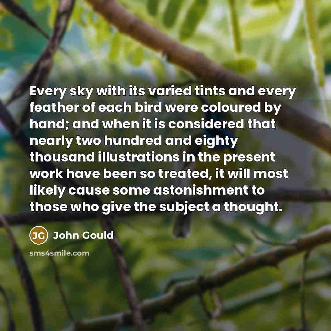 “Every sky with its varied tints and every feather of…” quote by John Gould