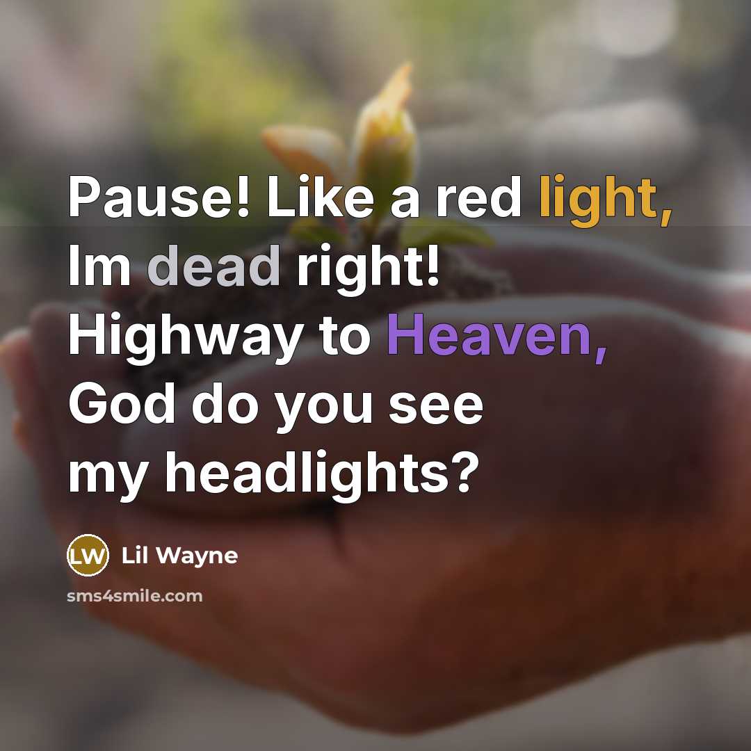 “Pause! Like a red light, Im dead right! Highway to Heaven, God do you see my headlights?” quote by Lil Wayne